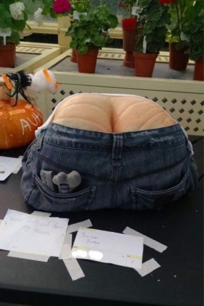 Pictures for Those With Dirty Minds