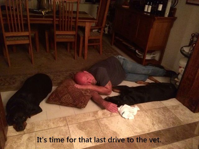 daily picdump 97 pics 4.html - 97 HD Photos | Premium Gallery 2014