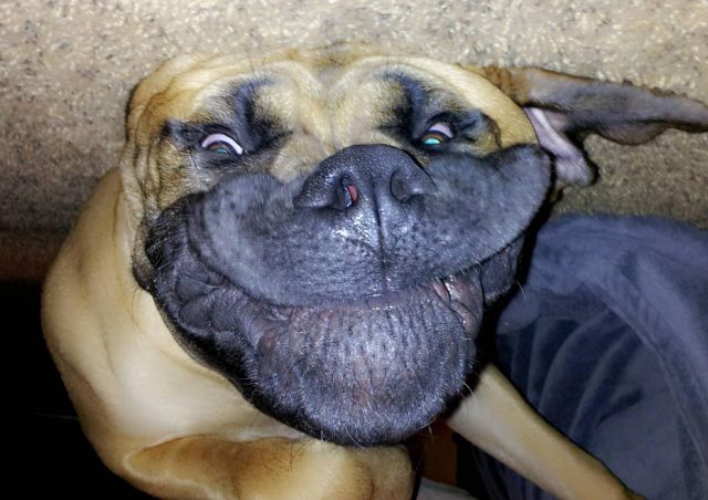 daily picdump 97 pics 4.html - 97 HD Photos | Premium Gallery 2014