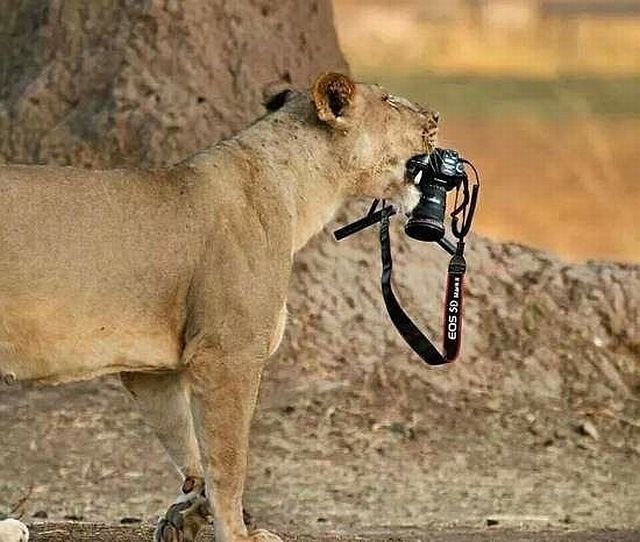 daily picdump 97 pics 4.html - 97 HD Photos | Premium Gallery 2014
