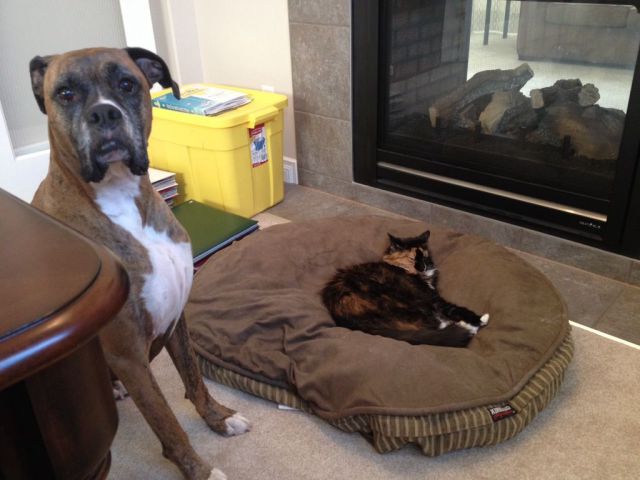 daily picdump 97 pics 4.html - 97 HD Photos | Premium Gallery 2014
