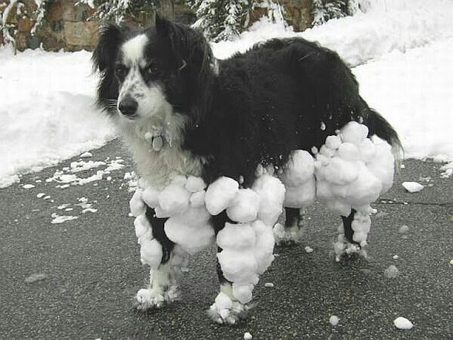 morning picdump 52 pics 4.html - 52 HD Photos | Premium Gallery 2014
