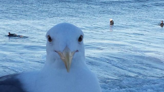 morning picdump 52 pics 10.html - 52 HD Photos | Premium Gallery 2014
