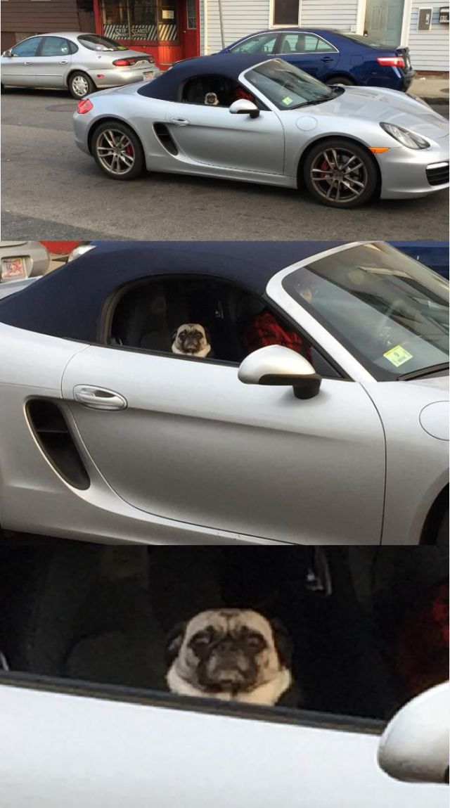 morning picdump 52 pics 10.html - 52 HD Photos | Premium Gallery 2014