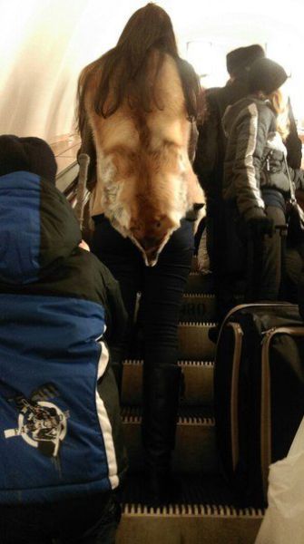 Subway Fashion Don