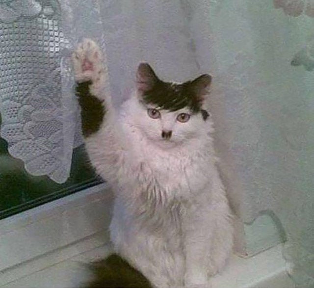 Life Is Full of Funny Coincidences