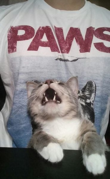 Life Is Full of Funny Coincidences