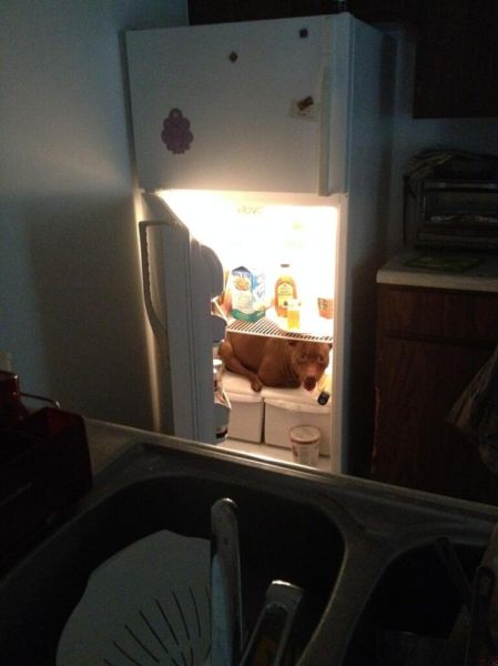 morning picdump 52 pics 21.html - 52 HD Photos | Premium Gallery 2015