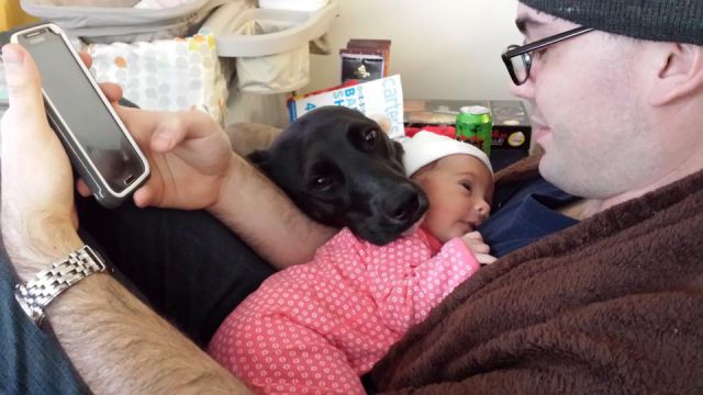 morning picdump 52 pics 2.html - 52 HD Photos | Premium Gallery 2015