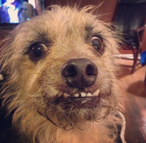 morning picdump 52 pics 15.html - 52 HD Photos | Premium Gallery 2015