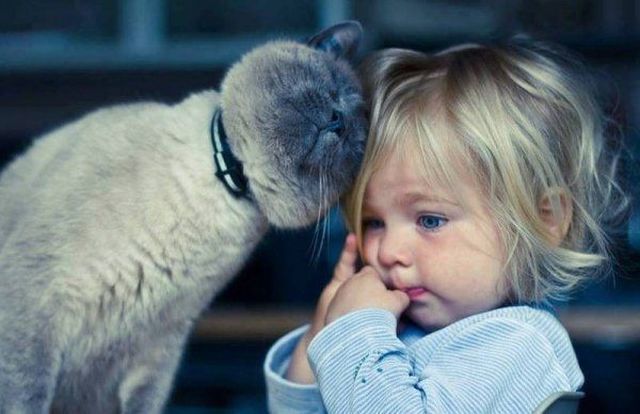 daily picdump 97 pics 35.html - 97 HD Photos | Premium Gallery 2015