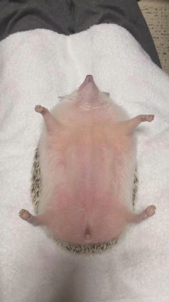 daily picdump 97 pics 35.html - 97 HD Photos | Premium Gallery 2015