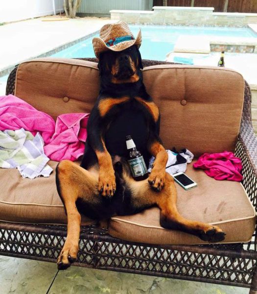 daily picdump 97 pics 35.html - 97 HD Photos | Premium Gallery 2015