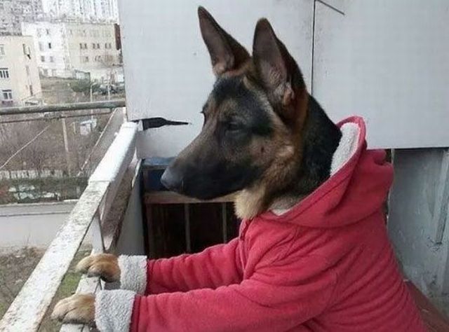 daily picdump 97 pics 35.html - 97 HD Photos | Premium Gallery 2015