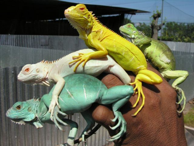 morning picdump 53 pics 22.html - 53 HD Photos | Premium Gallery 2015