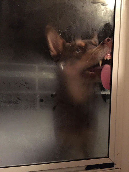 morning picdump 53 pics 22.html - 53 HD Photos | Premium Gallery 2015