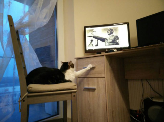 Funny Picdump