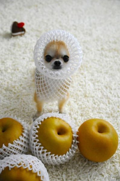 Morning Picdump