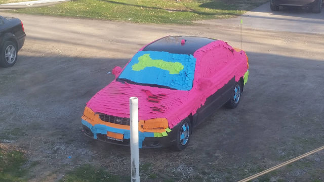 Morning Picdump