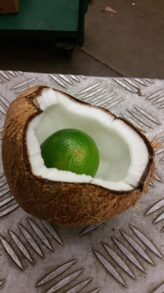 morning picdump 52 pics 22.html - 52 HD Photos | Premium Gallery 2015