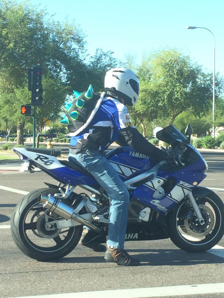 morning picdump 52 pics 22.html - 52 HD Photos | Premium Gallery 2015