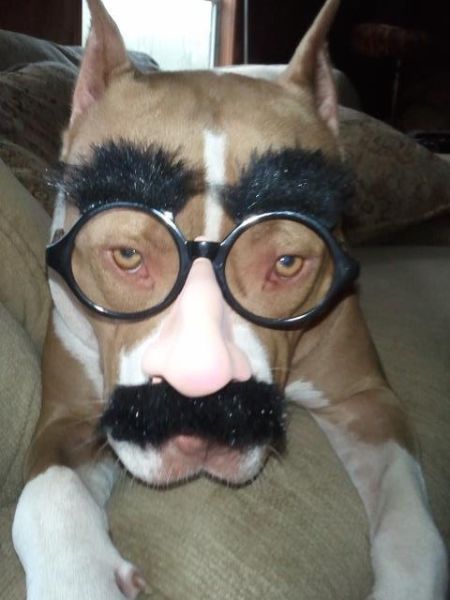 morning picdump 52 pics 22.html - 52 HD Photos | Premium Gallery 2015