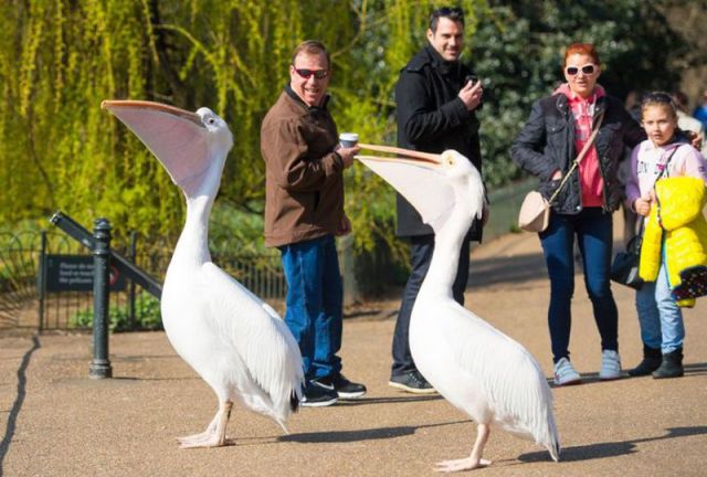 daily picdump 102 pics 41.html - 102 HD Photos | Premium Gallery 2015