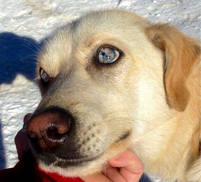 daily picdump 102 pics 41.html - 102 HD Photos | Premium Gallery 2015