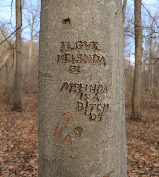 daily picdump 102 pics 41.html - 102 HD Photos | Premium Gallery 2015