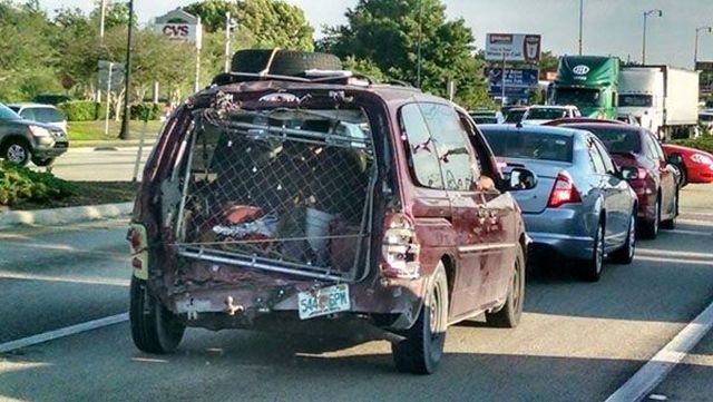 daily picdump 102 pics 41.html - 102 HD Photos | Premium Gallery 2015