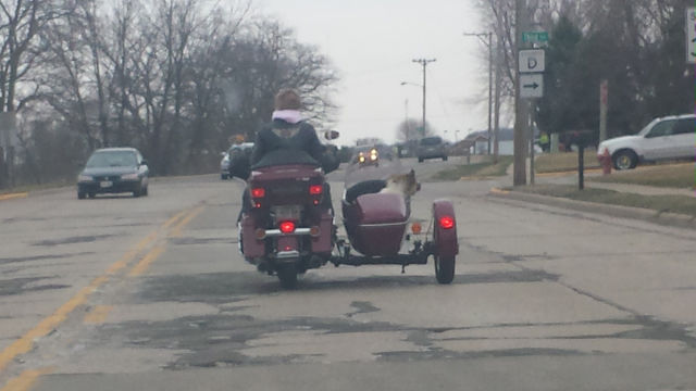 Morning Picdump