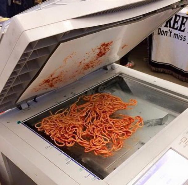 Morning Picdump