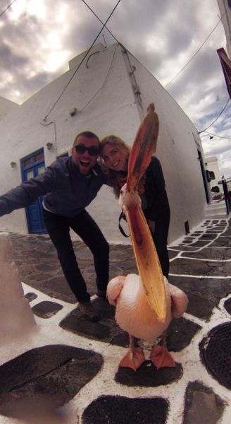 morning picdump 54 pics 11.html - 54 HD Photos | Premium Gallery 2015