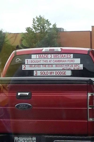 Morning Picdump
