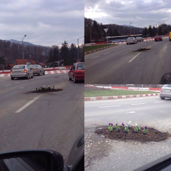 Morning Picdump