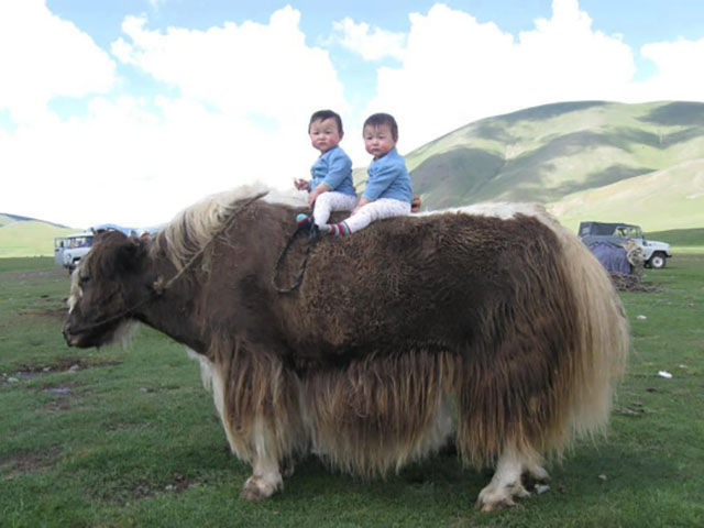 morning picdump 53 pics 2.html - 53 HD Photos | Premium Gallery 2015