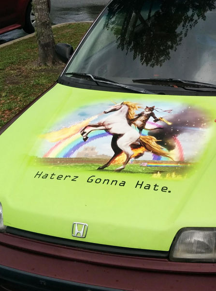 Morning Picdump