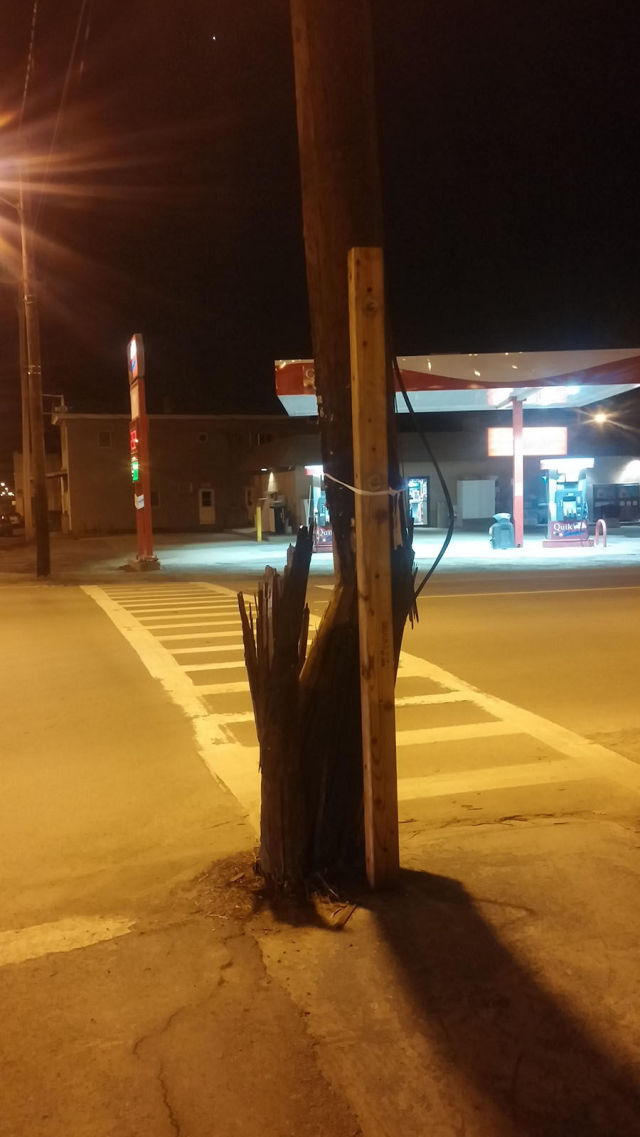 Morning Picdump