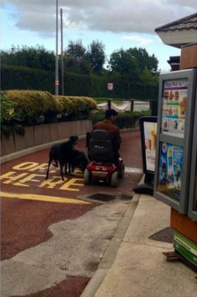 Daily Picdump