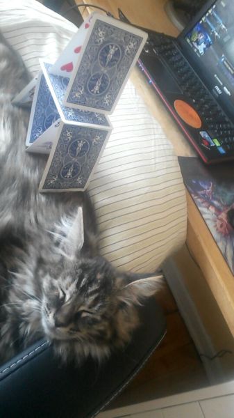 Daily Picdump