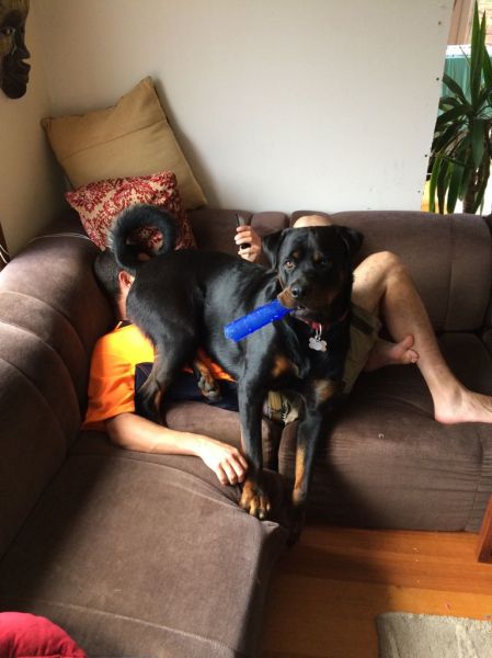 daily picdump 95 pics 39.html - 95 HD Photos | Premium Gallery 2015
