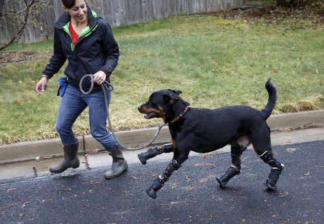 daily picdump 95 pics 39.html - 95 HD Photos | Premium Gallery 2015