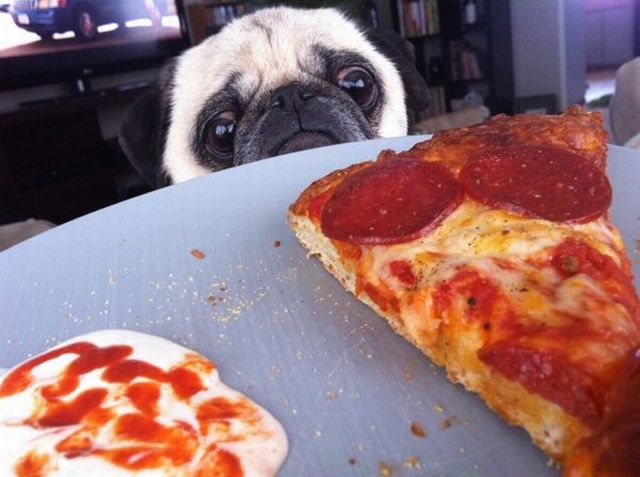 daily picdump 95 pics 39.html - 95 HD Photos | Premium Gallery 2015