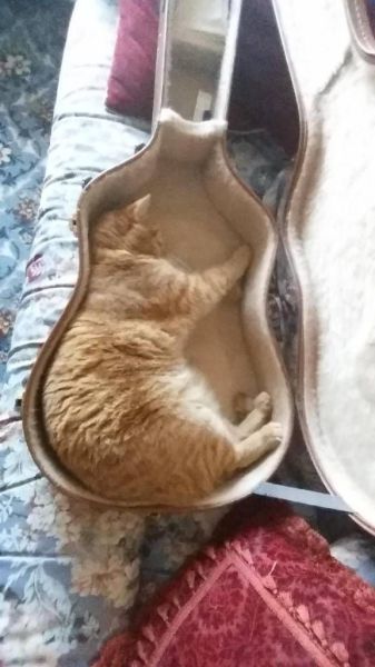 daily picdump 95 pics 39.html - 95 HD Photos | Premium Gallery 2015