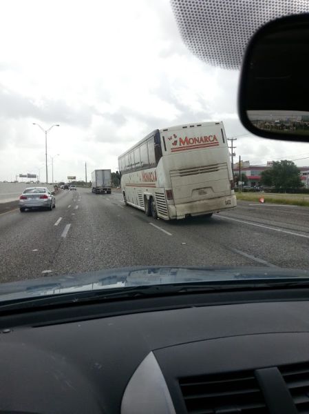 Morning Picdump