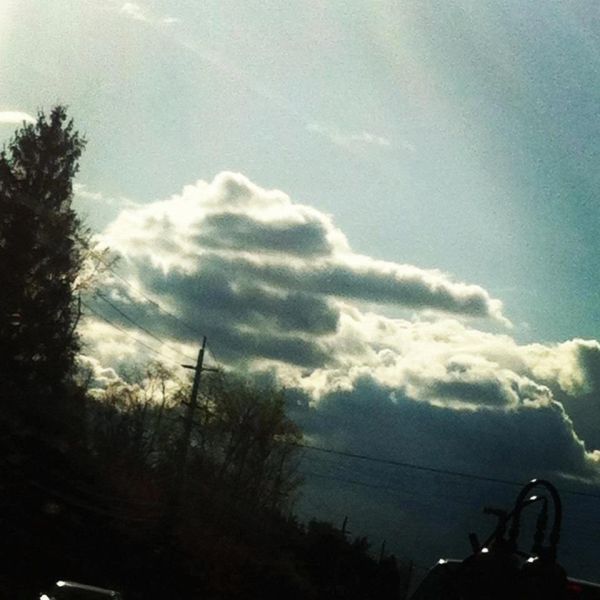 Morning Picdump