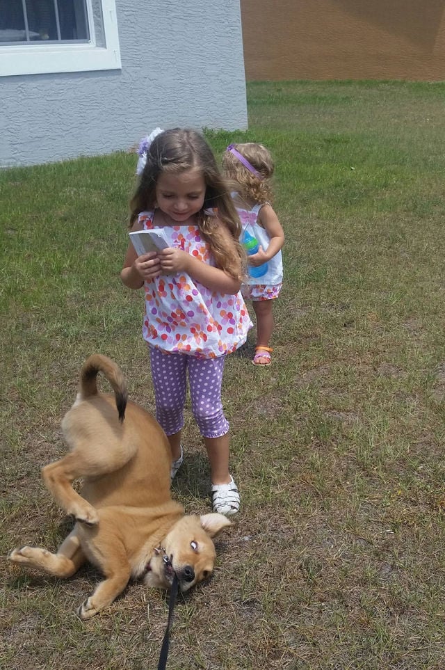 morning picdump 52 pics 4.html - 52 HD Photos | Premium Gallery 2015