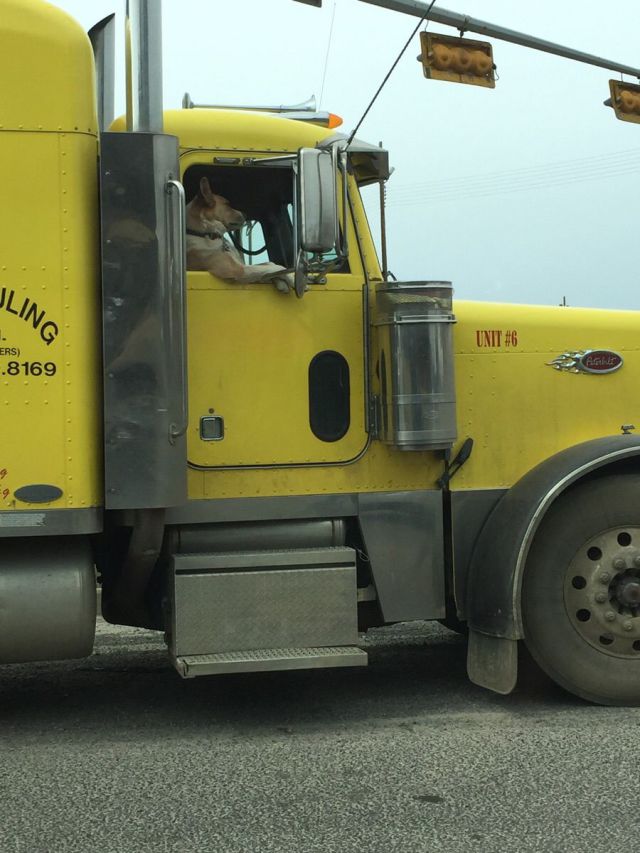 morning picdump 52 pics 4.html - 52 HD Photos | Premium Gallery 2015