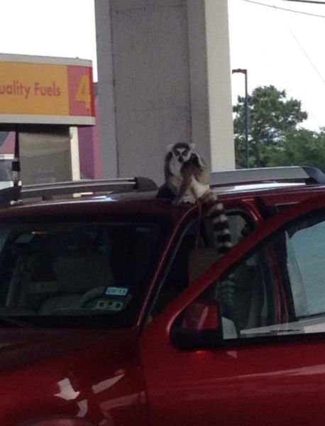 morning picdump 53 pics 2.html - 53 HD Photos | Premium Gallery 2015