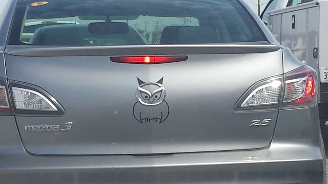 morning picdump 53 pics 2.html - 53 HD Photos | Premium Gallery 2015